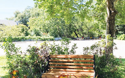 Newly refurbished benches