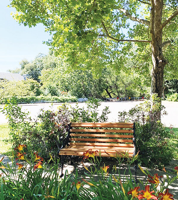 Newly refurbished benches