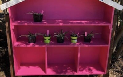 New Plant Sharing Shelves