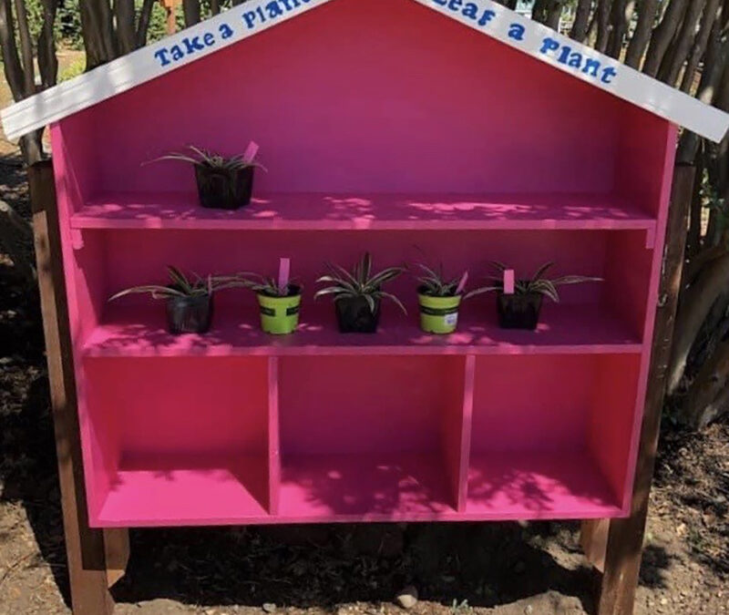 New Plant Sharing Shelves