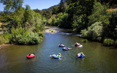 Things to see or do in Cloverdale