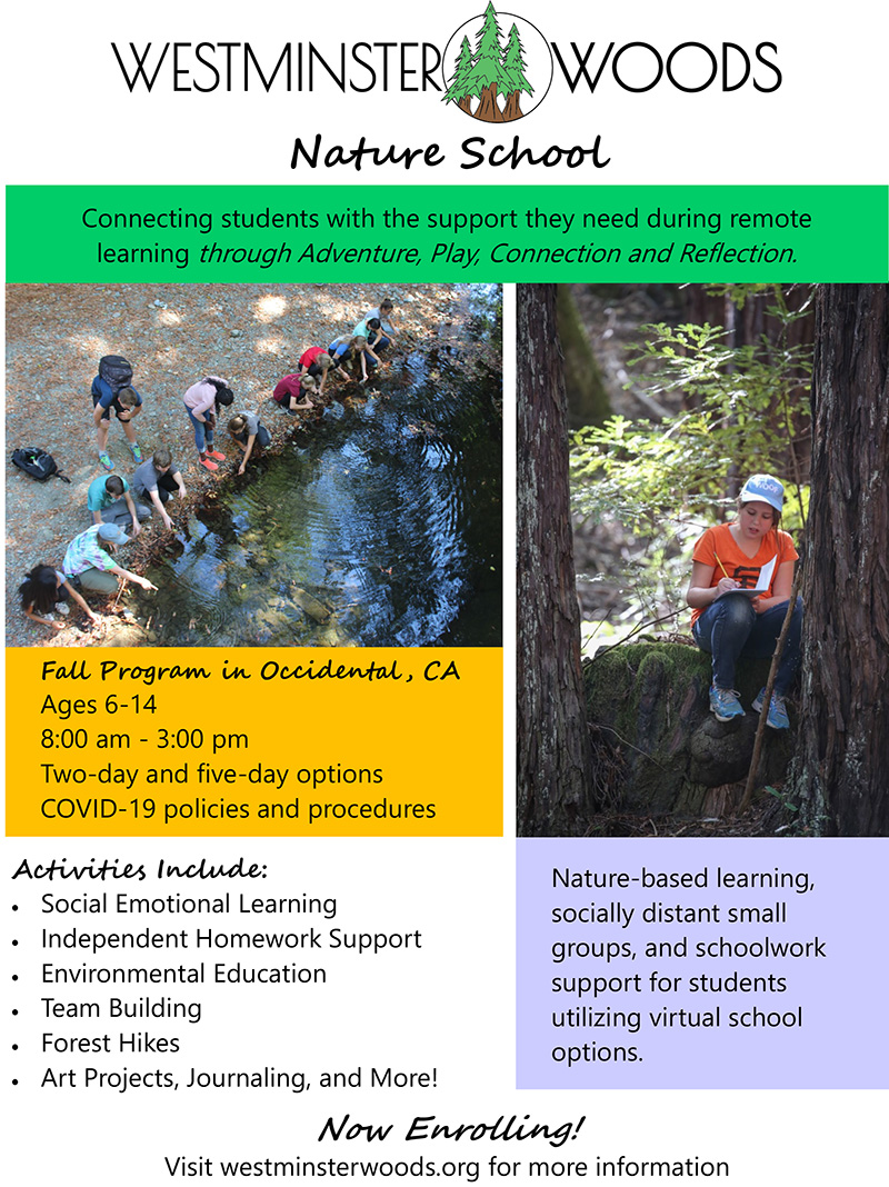 Nature School