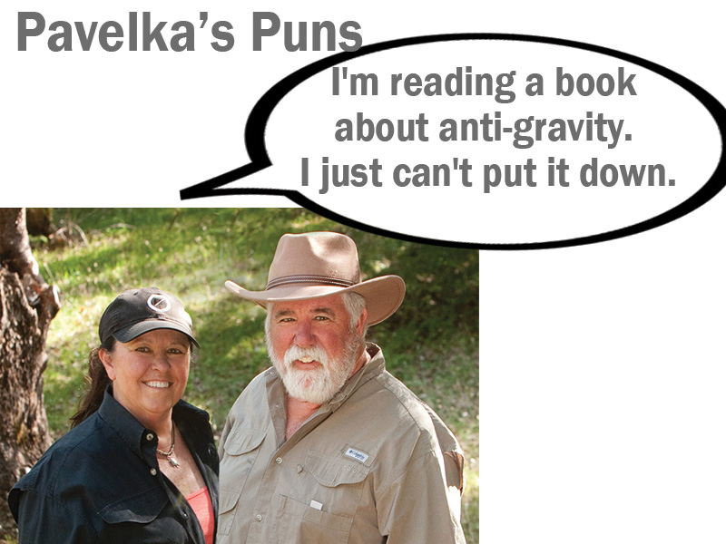 Pavelka’s Puns September