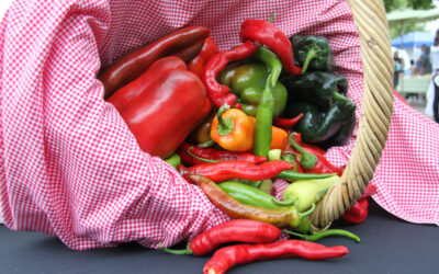 Free Food Resource List for Our Cloverdale Community