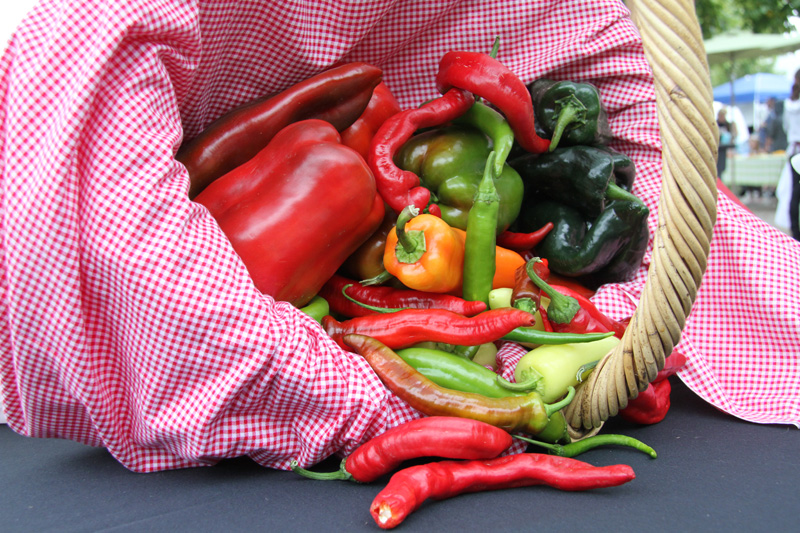 Cloverdale Community Garden