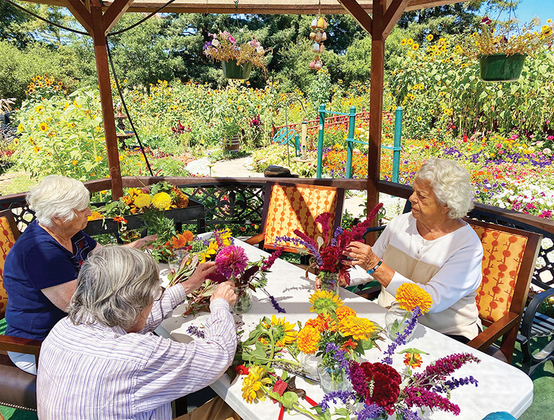 Healdsburg Senior Living