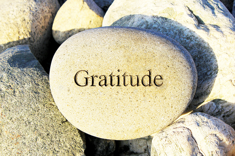 What are you grateful for?