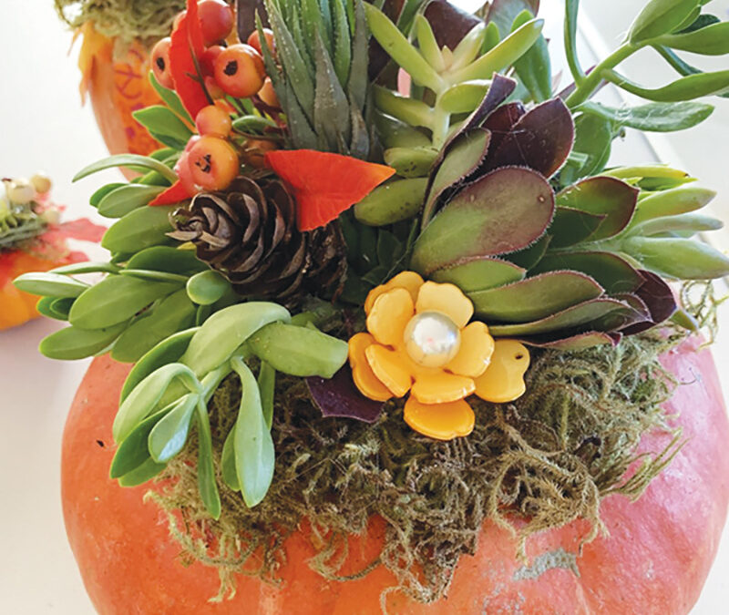 Pumpkin Centerpieces