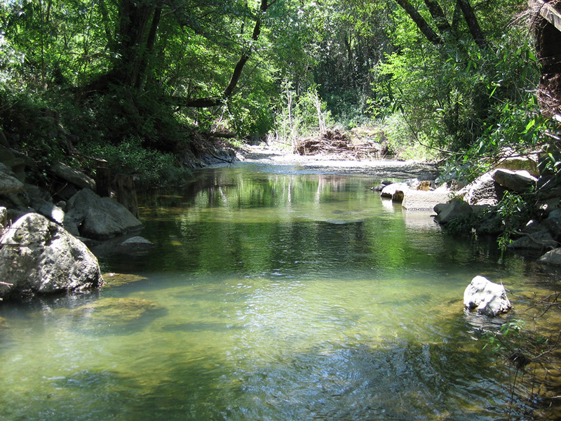 russian river