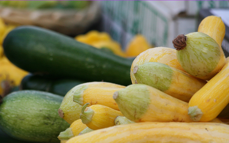 Gleaning: Collecting or  Donating Excess Produce