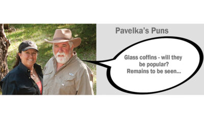 Pavelka’s Pun Nov 20