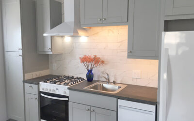 Wanna Build a Granny Unit or ADU?  by Nancy Lloyd