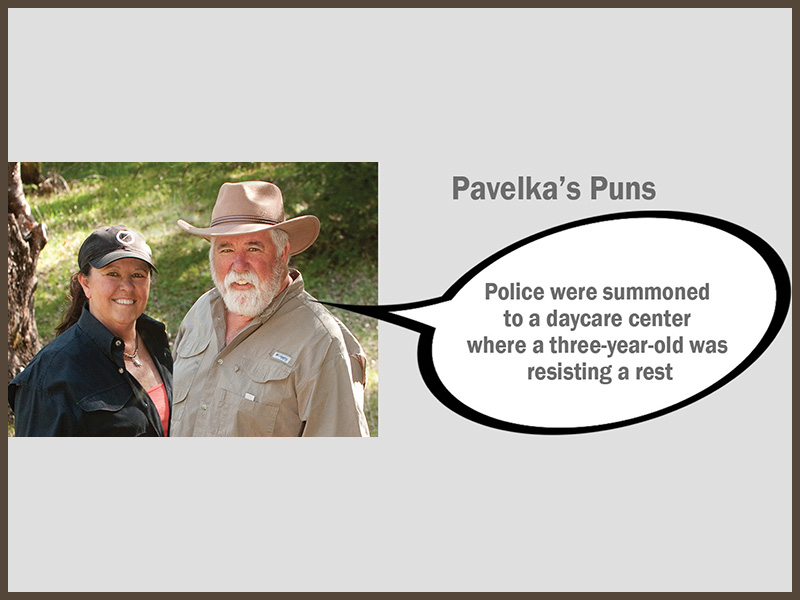 December 20 Pun