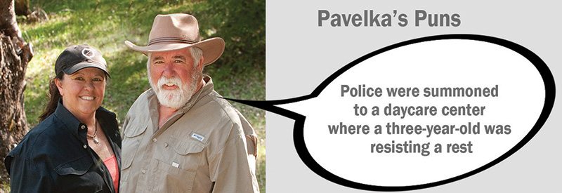 pavelka pun