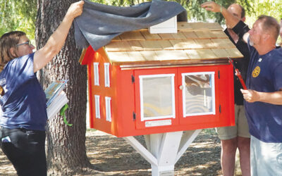 New “Little Library” Now Installed