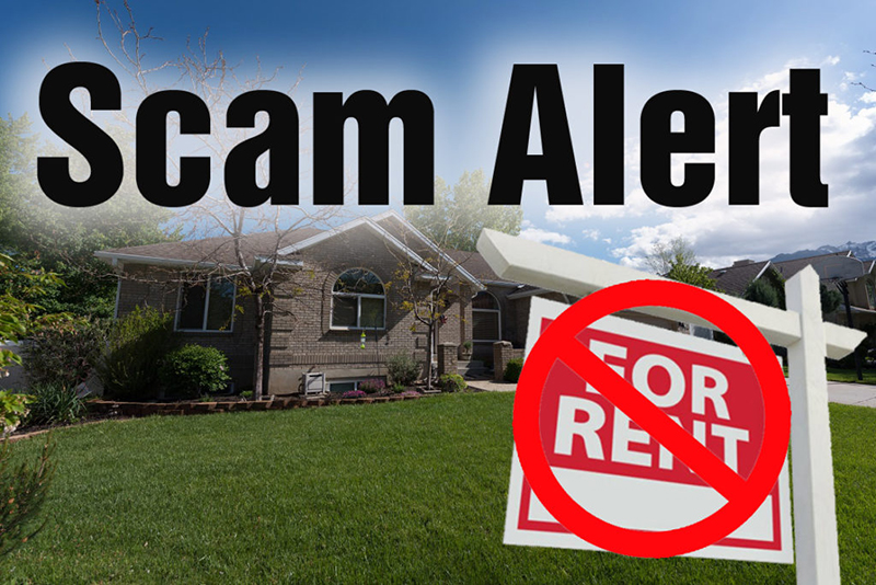 Beware of Rental Scams – Anne Miserlian Baker