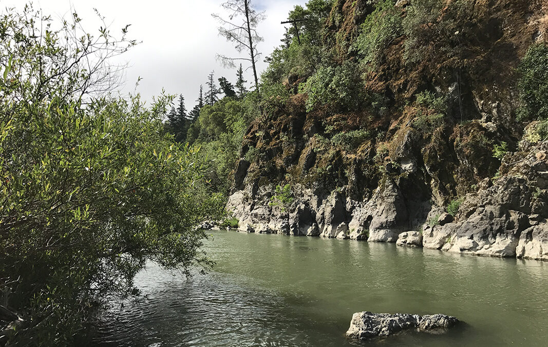 Update on the  New Russian River Parkway Project