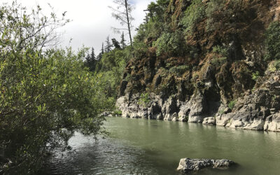 Update on the  New Russian River Parkway Project
