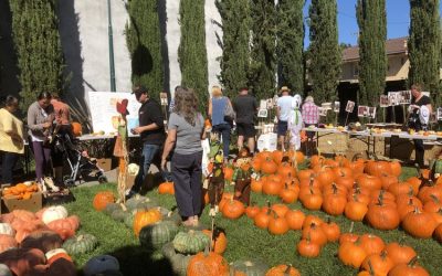 Courtney’s Pumpkin Patch