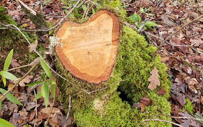 February 23 Photo Contest Winner