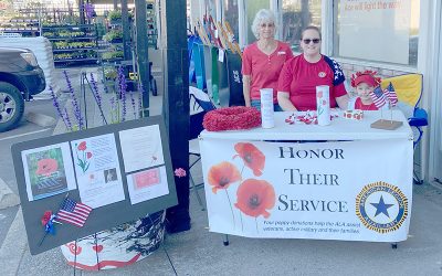 National Poppy Day in Cloverdale